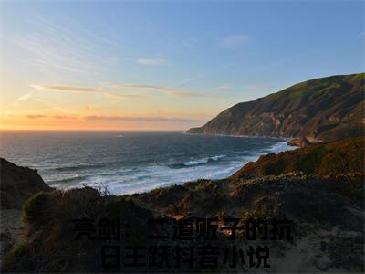 亮剑：二道贩子的抗日王跃小说大结局免费阅读-完结版亮剑：二道贩子的抗日王跃小说免费阅读