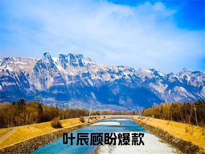 叶辰顾盼小说小说全集免费阅读 叶辰顾盼章节目录