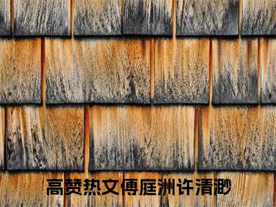傅庭洲许清渺全文小说（傅庭洲许清渺）全文阅读-傅庭洲许清渺在线小说免费阅读