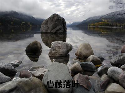 孟落裴纪行全集章节小说免费阅读完整版（心藏落叶）-心藏落叶小说免费阅读