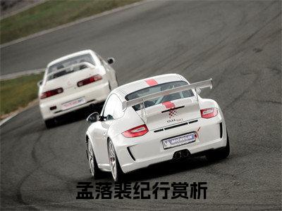 心藏落叶（孟落裴纪行）小说全文免费阅读-心藏落叶（孟落裴纪行）小说免费版最新更新阅读