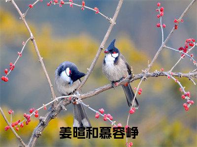 姜暄和慕容峥小说免费阅读-姜暄和慕容峥全文小说全章节阅读