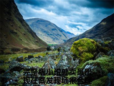 外卖员出现在案发现场很合理吧苏禾免费小说-外卖员出现在案发现场很合理吧苏禾完结版在线阅读