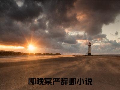 柳晚棠严辞邺（柳晚棠严辞邺）全文免费阅读无弹窗大结局_柳晚棠严辞邺完整版小说阅读