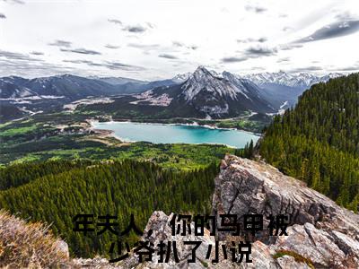 年景骁叶枳夏全文免费阅读无弹窗大结局-年夫人，你的马甲被少爷扒了最新章节列表_笔趣阁（年景骁叶枳夏）