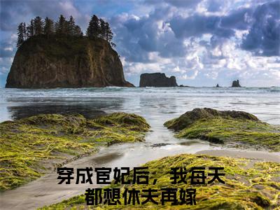 小说穿成宦妃后，我每天都想休夫再嫁全文免费阅读无弹窗大结局-秦若时宗政朝暮穿成宦妃后，我每天都想休夫再嫁免费阅读大结局