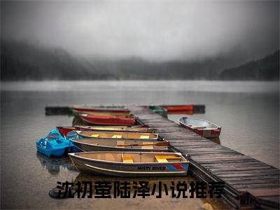 沈初萤陆泽全文免费阅读_病娇大小姐只想拉他坠深渊（沈初萤陆泽）小说在线阅读最新章节列表笔趣阁