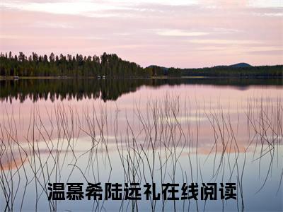 温慕希陆远礼（温慕希陆远礼）最新章节阅读-热点小说榜单推荐温慕希陆远礼