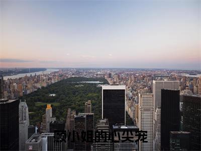 主角为顾小姐的心尖宠的小说-许烟慕萧无妄（顾小姐的心尖宠）全文最新完整版阅读
