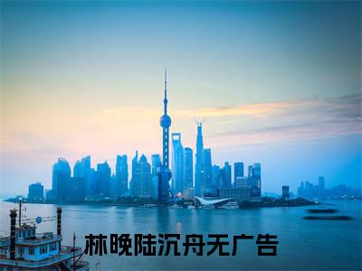 林晚陆沉舟(林晚陆沉舟）小说全文免费读无弹窗大结局_林晚陆沉舟小说章节试读最新章节列表笔趣阁