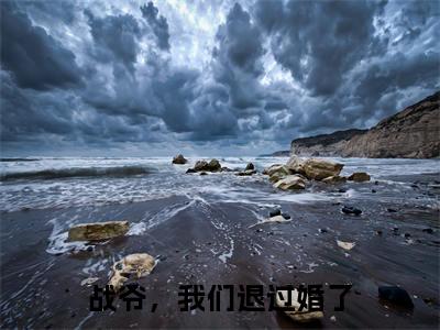 战爷，我们退过婚了完结版小说战煜枭陆思艺全文在线免费阅读_战煜枭陆思艺最新章节列表_笔趣阁