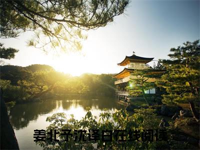 姜北予沈译白（姜北予沈译白免费阅读无弹窗）-姜北予沈译白最新章节列表姜北予沈译白全文无删减版