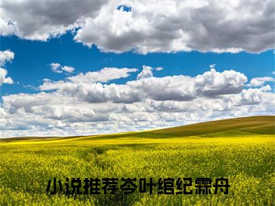 岑叶绾纪霖舟是的小说-《岑叶绾纪霖舟》完整章节阅读无弹窗免费阅读大结局
