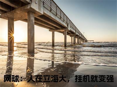 高桥彦一木村小郎（网球：人在立海大，挂机就变强全章节完整版）免费阅读-高桥彦一木村小郎全文无删减阅读