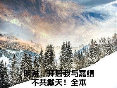 明贼：开局我与嘉靖不共戴天！小说（杨寒苍）全文免费阅读无弹窗大结局_明贼：开局我与嘉靖不共戴天！小说免费阅读_笔趣阁（杨寒苍小说）