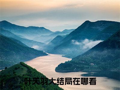 叶天羽小说好看吗叶天羽热门推荐小说（龙王出山）全章节阅读_笔趣阁