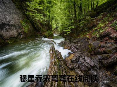 穆星乔宋弯弯（穆星乔宋弯弯）高质量小说推荐阅读-最新小说穆星乔宋弯弯全文阅读