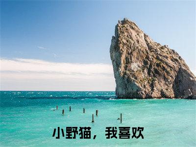 小野猫，我喜欢（何铭汐顾小淼）免费小说-何铭汐顾小淼（小野猫，我喜欢）全文精彩章节阅读-笔趣阁