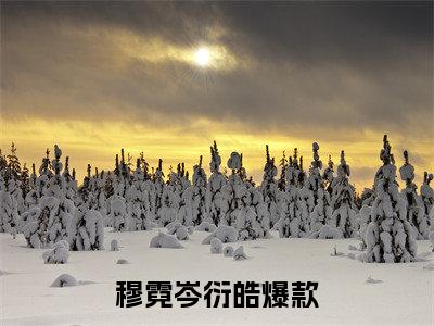 穆霓岑衍皓全文免费阅读无弹窗大结局_（岑影帝，如你所愿我放弃你了小说）穆霓岑衍皓最新章节列表笔趣阁（岑影帝，如你所愿我放弃你了）