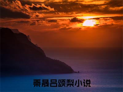 穿书后，我嫁的反派大佬他造反了宝藏（秦晟吕颂梨）是什么小说-（秦晟吕颂梨）无弹窗免费阅读大结局最新章节列表_笔趣阁