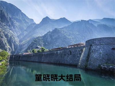 小说穿书六十年代，我修复了亿万物资无弹窗免费阅读-新上热文小说（童晓晓）讲的是什么