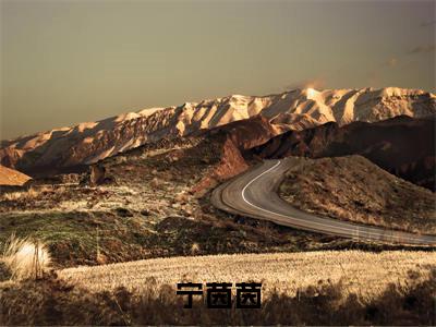 小说（假千金被赶，嫁给老首长养崽崽）宁茵茵全文阅读_小说假千金被赶，嫁给老首长养崽崽免费阅读（宁茵茵）笔趣阁