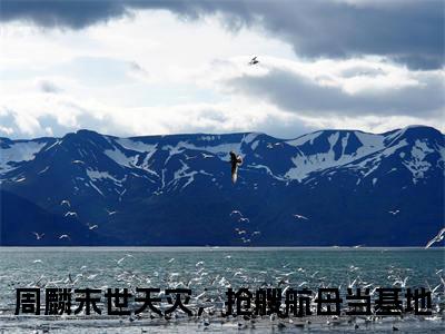 周麟（末世天灾，抢艘航母当基地）全文免费阅读无弹窗大结局_末世天灾，抢艘航母当基地小说最新章节列表_笔趣阁（周麟）