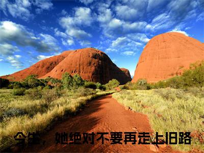 徐幼薇陆承焱（今生，她绝对不要再走上旧路）小说最新章节在线阅读-徐幼薇陆承焱（今生，她绝对不要再走上旧路）已完结全集大结局