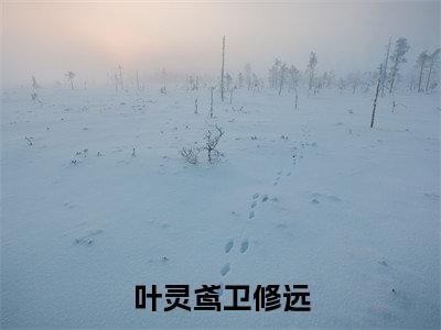 叶灵鸢卫修远（叶灵鸢卫修远）最新章节在线阅读 抖音新书热荐叶灵鸢卫修远