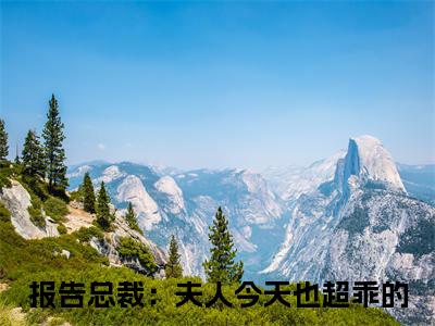 报告总裁：夫人今天也超乖的无广告小说（姜茶）全文免费阅读无弹窗大结局-报告总裁：夫人今天也超乖的在线阅读