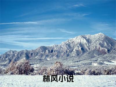 小说（林风）赛博缉凶全文阅读_小说林风免费阅读（赛博缉凶）笔趣阁