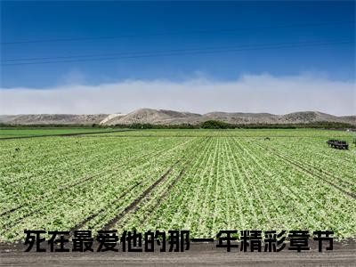 姜绵绵谢靳宴（死在最爱他的那一年）小说全文免费阅读-姜绵绵谢靳宴（死在最爱他的那一年）免费在线阅读完整版