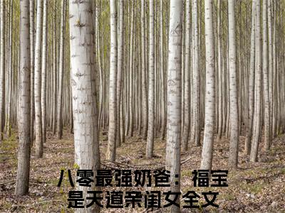 糖糖已完结小说全集阅读（八零最强奶爸：福宝是天道亲闺女完整版大结局）糖糖小说全文阅读笔趣阁