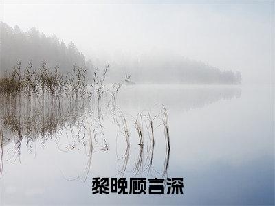 黎晚顾言深的小说(黎晚顾言深)最新章节全文免费阅读_笔趣阁
