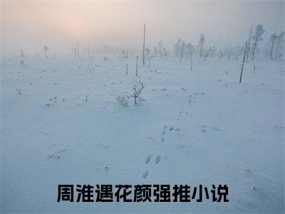周淮遇花颜全文免费阅读无弹窗大结局_ 周淮遇花颜热门章节在线阅读笔趣阁