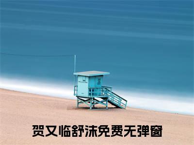 贺又临舒沫小说全文大结局-贺又临舒沫（贺又临舒沫）小说全文免费阅读