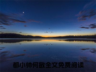 都小帅何敏全文免费阅读无弹窗(小说全文免费阅读)都小帅何敏最新章节列表_笔趣阁