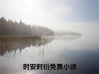 时安时衍是的小说-《时安时衍》完整章节阅读无弹窗免费阅读大结局
