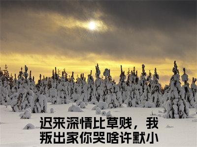 迟来深情比草贱，我叛出家你哭啥许默小说全文免费阅读无弹窗-迟来深情比草贱，我叛出家你哭啥许默全章节阅读
