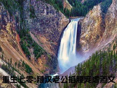 （重生七零:糙汉老公掐腰宠）小说全文免费阅读_重生七零:糙汉老公掐腰宠（林清屏顾钧成）最新章节热文在线阅读