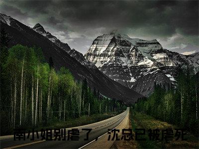 沈希衍南浅（南小姐别虐了，沈总已被虐死）全文小说-沈希衍南浅小说最新章节免费阅读