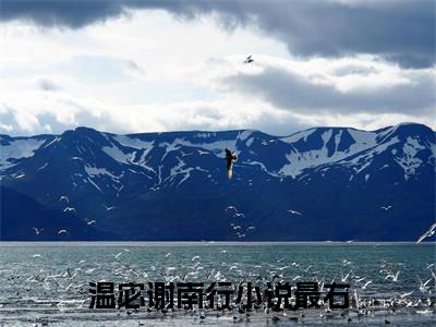 温宓谢南行全文免费阅读无弹窗大结局_温宓谢南行无弹窗全文阅读