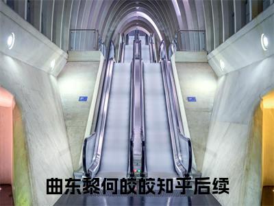曲东黎何皎皎小说（曲东黎何皎皎）全文免费阅读无弹窗_曲东黎何皎皎高赞小说免费阅读笔趣阁