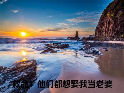 救命！他们都想娶我当老婆免费小说（桀狼曲昭昭）全文无弹窗阅读救命！他们都想娶我当老婆大结局免费阅读无弹窗