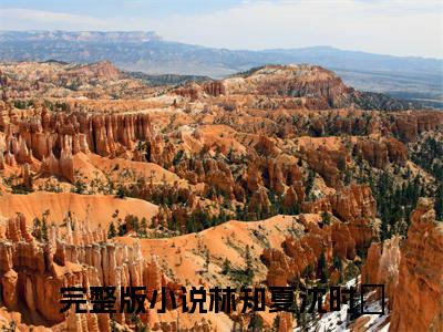 林知夏沈时璟小说全文免费阅读 林知夏沈时璟最新章节