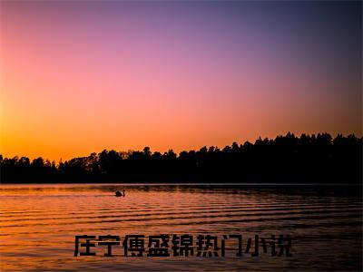 庄宁傅盛锦全文免费完整版,庄宁傅盛锦最新章节完整版阅读