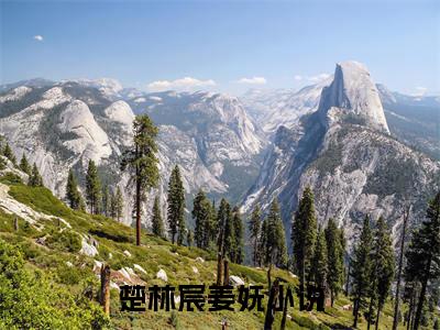 楚林宸姜妩小说免费大结局楚林宸姜妩里全文免费阅读