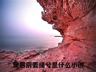 窦慕辰姜缘兮多人追免费无弹窗小说，窦慕辰姜缘兮已完结全集大结局