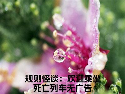 徐淼（规则怪谈：欢迎乘坐死亡列车）全文免费阅读无弹窗大结局_徐淼最新章节列表（规则怪谈：欢迎乘坐死亡列车）