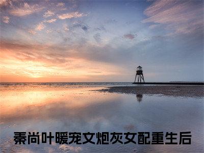 宠文炮灰女配重生后（秦尚叶暖）全文免费阅读无弹窗_（秦尚叶暖）小说最新章节列表笔趣阁